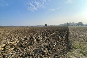 Działka na sprzedaż 1002m2 koszaliński Będzino Mścice - zdjęcie 3