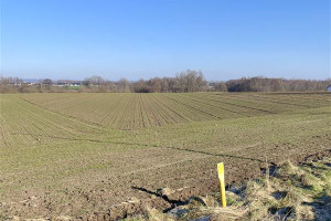 Działka na sprzedaż 1125m2 koszaliński Świeszyno Konikowo Konikowo - zdjęcie 1