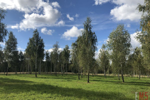 Działka na sprzedaż ostródzki Ostróda - zdjęcie 3