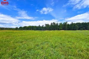 Działka na sprzedaż 3040m2 węgorzewski Węgorzewo Ogonki - zdjęcie 3