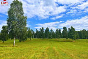 Działka na sprzedaż 1430m2 ostródzki Miłomłyn Boguszewo - zdjęcie 2