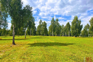 Działka na sprzedaż 1430m2 ostródzki Ostróda Samborowo - zdjęcie 3