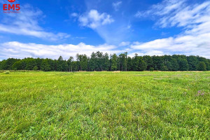 Działka na sprzedaż 3040m2 węgorzewski Węgorzewo Ogonki - zdjęcie 2