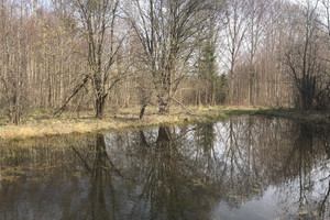 Działka na sprzedaż 16400m2 gdański Przywidz Pomlewo - zdjęcie 3