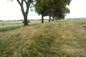 Działka na sprzedaż 1660m2 pucki Puck Łebcz - zdjęcie 3