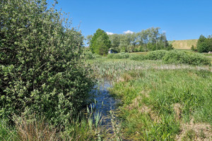 Działka na sprzedaż 15977m2 kartuski Przodkowo Szarłata Spadzista - zdjęcie 3