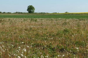 Działka na sprzedaż 834m2 pucki Puck Darzlubie - zdjęcie 2