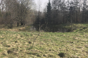 Działka na sprzedaż 16400m2 gdański Przywidz Pomlewo - zdjęcie 1