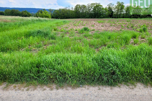 Działka na sprzedaż 6998m2 krakowski Zabierzów Karniowice Duża działka w Karniowicach  - zdjęcie 1