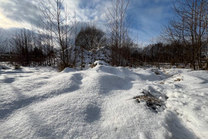 Działka na sprzedaż 5480m2 Rybnik Śródmieście - zdjęcie 3