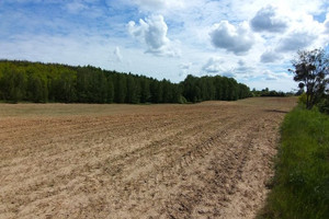 Działka na sprzedaż 19000m2 lidzbarski Lidzbark Warmiński Nowosady - zdjęcie 2