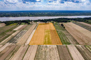 Działka na sprzedaż 1000m2 płoński Czerwińsk nad Wisłą - zdjęcie 1