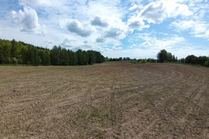 Działka na sprzedaż 19000m2 lidzbarski Lidzbark Warmiński Nowosady - zdjęcie 1