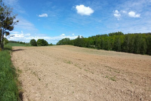 Działka na sprzedaż 19000m2 lidzbarski Lidzbark Warmiński Nowosady - zdjęcie 3