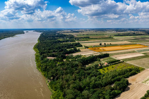 Działka na sprzedaż 18100m2 płoński Czerwińsk nad Wisłą Wólka Przybójewska - zdjęcie 2