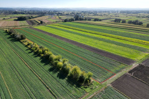 Działka na sprzedaż 7996m2 Kraków Nowa Huta Podstawie - zdjęcie 1