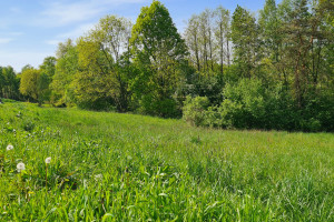 Działka na sprzedaż 12400m2 myślenicki Dobczyce Dziekanowice - zdjęcie 1