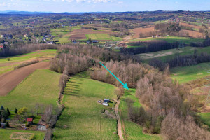 Działka na sprzedaż 12400m2 myślenicki Dobczyce Dziekanowice - zdjęcie 2