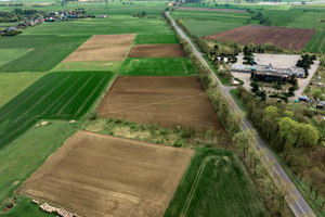 Działka na sprzedaż 17500m2 pyrzycki Bielice Będgoszcz - zdjęcie 3