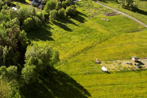 Działka na sprzedaż 2690m2 gliwicki Sośnicowice Tworóg Mały Nowowiejska - zdjęcie 2