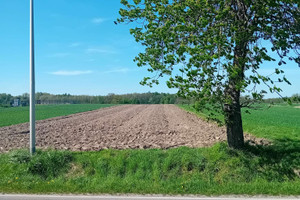 Działka na sprzedaż 4720m2 gliwicki Sośnicowice Łany Wielkie Łabędzka - zdjęcie 3