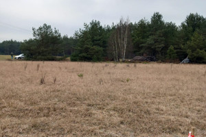 Działka na sprzedaż 1800m2 kościerski Karsin Wdzydze Tucholskie - zdjęcie 2