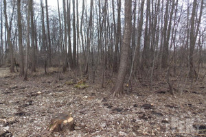 Działka na sprzedaż 2500m2 żyrardowski Radziejowice Zboiska - zdjęcie 3