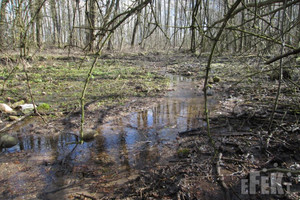 Działka na sprzedaż 9740m2 żyrardowski Puszcza Mariańska Stary Łajszczew - zdjęcie 1