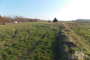 Działka na sprzedaż 21100m2 żyrardowski Puszcza Mariańska Stary Łajszczew - zdjęcie 2