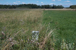 Działka na sprzedaż 1000m2 żyrardowski Puszcza Mariańska Aleksandria - zdjęcie 2