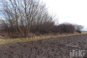 Działka na sprzedaż 4900m2 żyrardowski Wiskitki Feliksów - zdjęcie 2