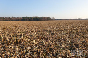 Działka na sprzedaż 170110m2 żyrardowski Puszcza Mariańska Nowy Łajszczew - zdjęcie 1