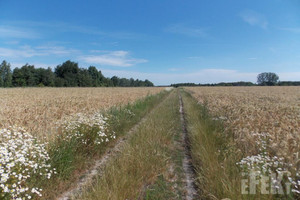 Działka na sprzedaż 67300m2 żyrardowski Mszczonów Gurba - zdjęcie 3