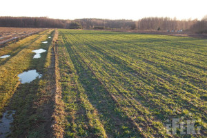 Działka na sprzedaż 10900m2 żyrardowski Puszcza Mariańska Lisowola - zdjęcie 1