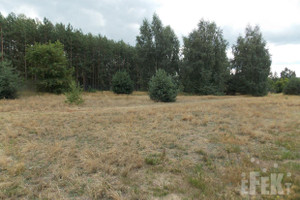 Działka na sprzedaż 2670m2 żyrardowski Mszczonów Grabce-Towarzystwo - zdjęcie 3