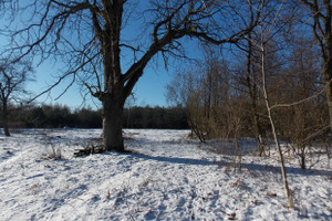 Działka na sprzedaż 1700m2 żyrardowski Mszczonów Budy-Strzyże - zdjęcie 2