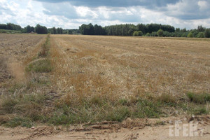 Działka na sprzedaż 2180m2 żyrardowski Mszczonów Grabce-Towarzystwo - zdjęcie 3