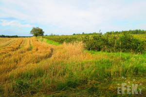 Działka na sprzedaż 2000m2 skierniewicki Kowiesy Lisna - zdjęcie 4