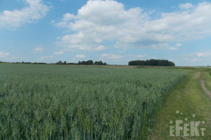 Działka na sprzedaż 50406m2 żyrardowski Puszcza Mariańska Stary Łajszczew - zdjęcie 2