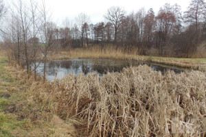 Działka na sprzedaż 5272m2 żyrardowski Puszcza Mariańska Stary Łajszczew - zdjęcie 3