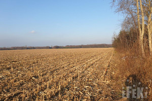 Działka na sprzedaż 170110m2 żyrardowski Puszcza Mariańska Nowy Łajszczew - zdjęcie 2