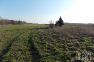 Działka na sprzedaż 21100m2 żyrardowski Puszcza Mariańska Stary Łajszczew - zdjęcie 3