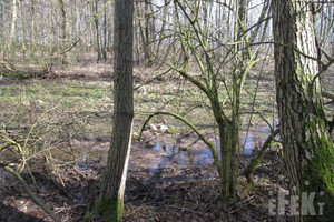 Działka na sprzedaż 9740m2 żyrardowski Puszcza Mariańska Stary Łajszczew - zdjęcie 2