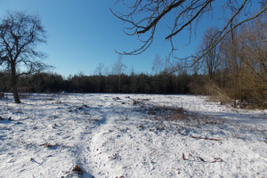 Działka na sprzedaż 1700m2 żyrardowski Mszczonów Budy-Strzyże - zdjęcie 3