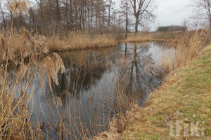 Działka na sprzedaż 5272m2 żyrardowski Puszcza Mariańska Stary Łajszczew - zdjęcie 1