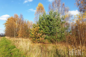 Działka na sprzedaż 44500m2 żyrardowski Puszcza Mariańska Stary Łajszczew - zdjęcie 1