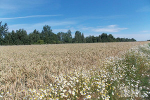 Działka na sprzedaż 67300m2 żyrardowski Mszczonów Gurba - zdjęcie 2