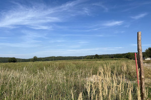 Działka na sprzedaż 1000m2 strzeliński Strzelin Dębniki - zdjęcie 1