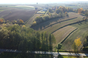 Działka na sprzedaż 2830m2 krakowski Michałowice Zdziesławice - zdjęcie 4