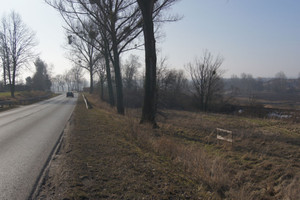 Działka na sprzedaż raciborski Racibórz Brzeska - zdjęcie 1